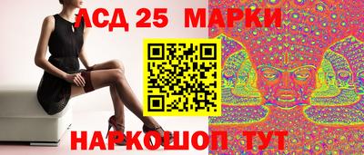 винт Будённовск