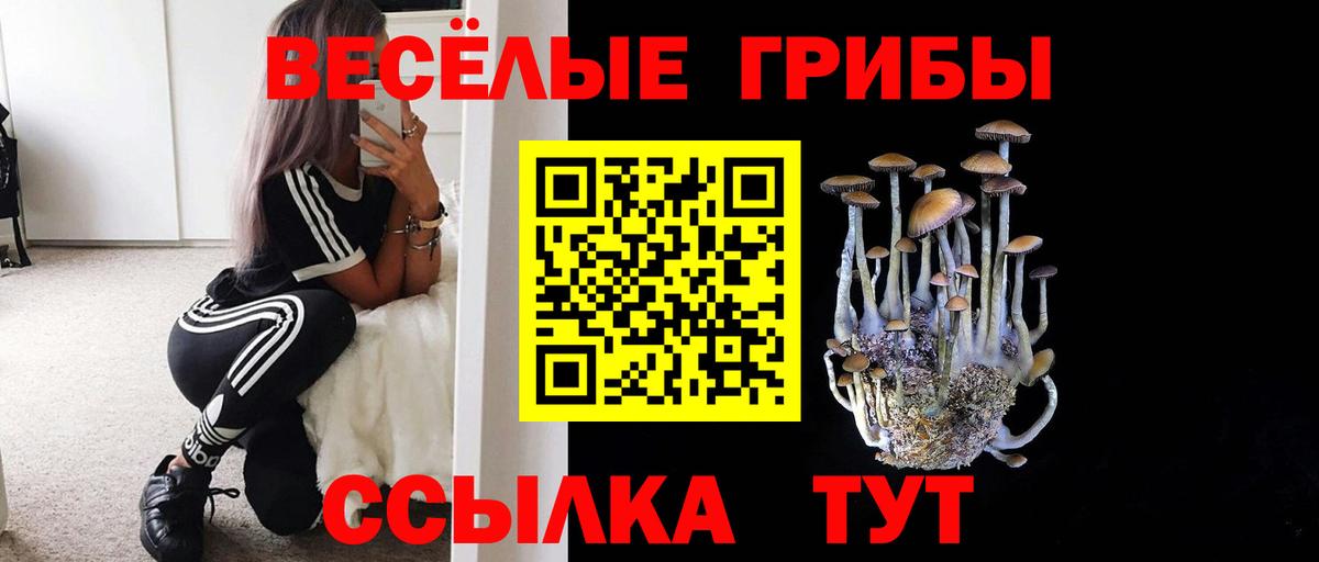 Кызыл  Псилоцибиновые грибы мухоморы  Вход с VPN  Псилоцибиновые грибы ЛСД 
